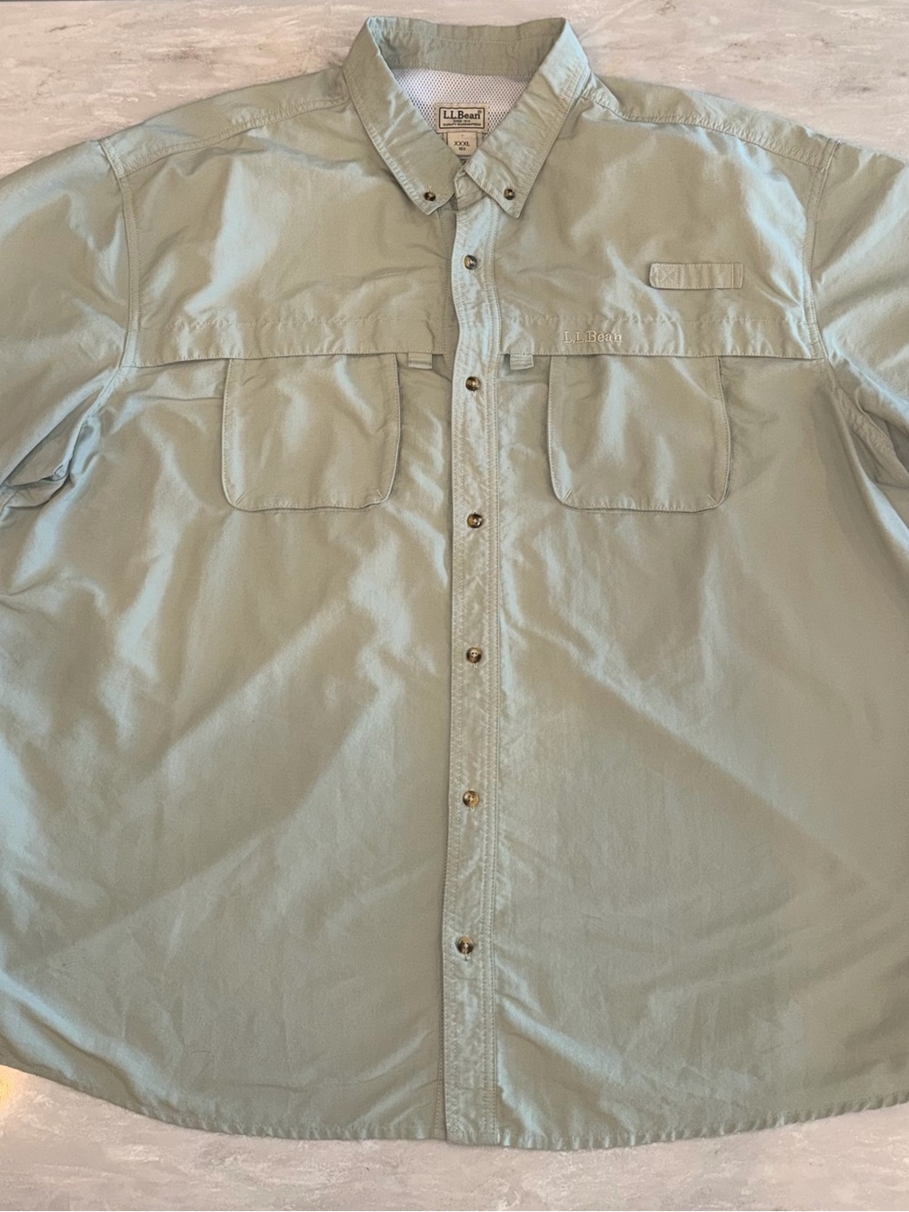 L.L. Bean Men’s Button-Down Shirt in Light Sage Green